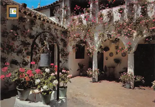 BT17684 Tipico Terrasse Andaluz Costa del Sol Spanien