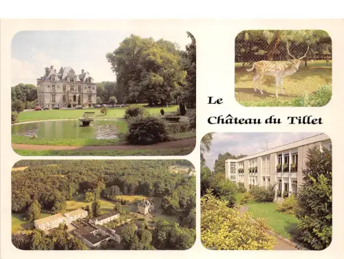 BR13783 Chateau du Tillet Maison de convalescence Cires les mello Frankreich