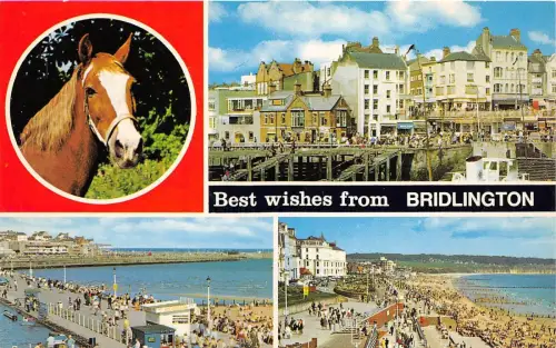 B48116 Bridlington Pferd Cheval Multiviews UK