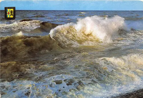 BG5233 un bonjour de la cote belge belgien