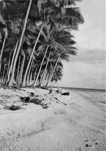 BR62546 Samoa Australien