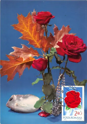 B22934 Fleurs Blumen Rosen Maximum Karte