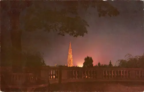 BT4707 Bruxelles hotel de ville la nuit Belgien