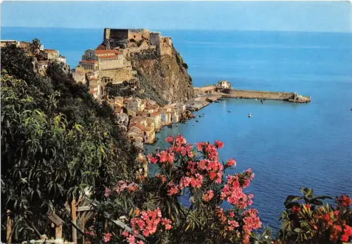 B58576 Costa Viola Scillia blühende Chinalee Italien