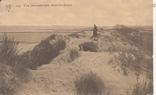 BF19093 vue panoramique dans les dunes belgien Vorder-/Rückbild