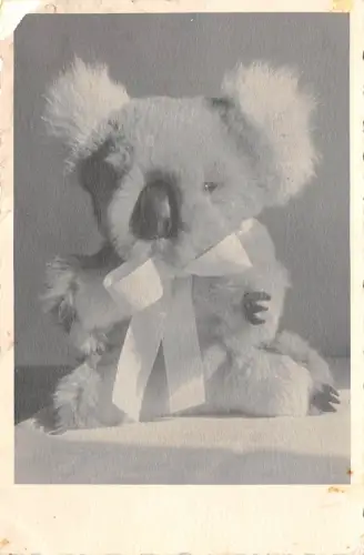 Lot360 Koalabär Spielzeug