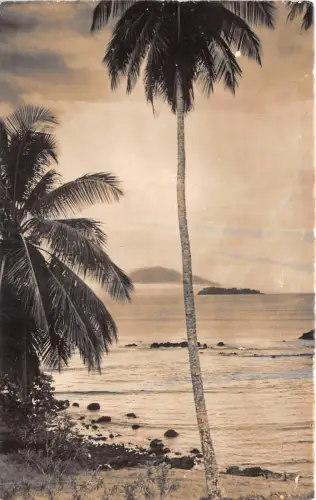 US33 Martinique Französische Kolonie Karibik Palme Insel Paradies