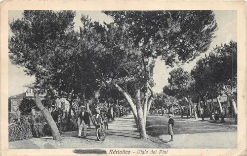 Lot184 avenue of pines adriatico bike italy castellammare adriatico