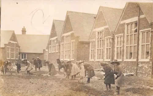 uk50792 neue Schulen Cambridge Echtfoto UK Gartenarbeit