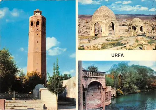 BR23368 Urfa Saat Kulesi Truthahn