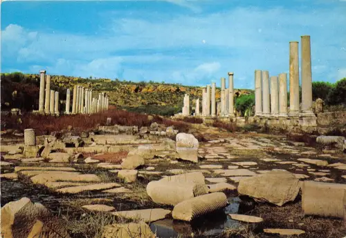 BR9848 Avenue Historique a perge Antalya türkei