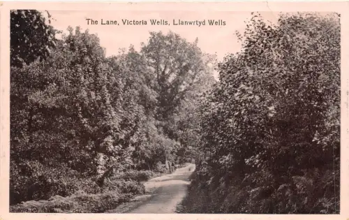 lot402 the lane victoria wells llanwrtyd wells uk