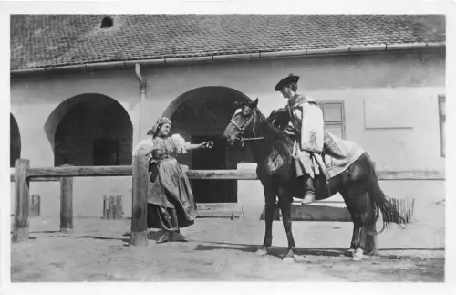 Lot406 Ungarn Typen Trachtenpferd A Puszta Schäferhund