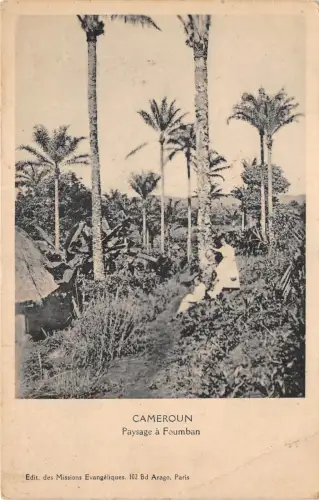 lot407 afrika kamerun cameroun paysage a foumban folklore types