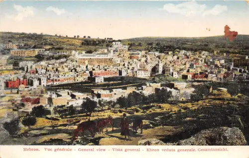 lot407 israel hebron Gesamtansicht 