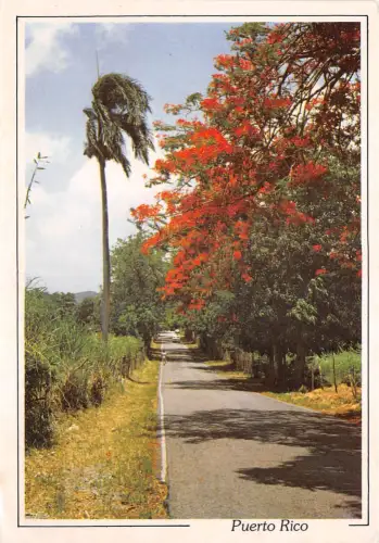 lot408 puerto rico landstraße 