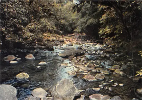 Lot412 Karibische Französische Antillen Guadeloupe Standort Maison Foret Petit David