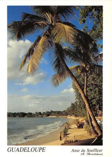 lot412 karibische französische antillen guadeloupe anse du souffleur port louis 