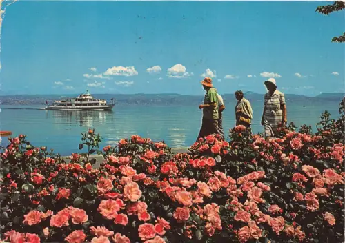 BR10979 Evian Promenade au bord du lac leman france