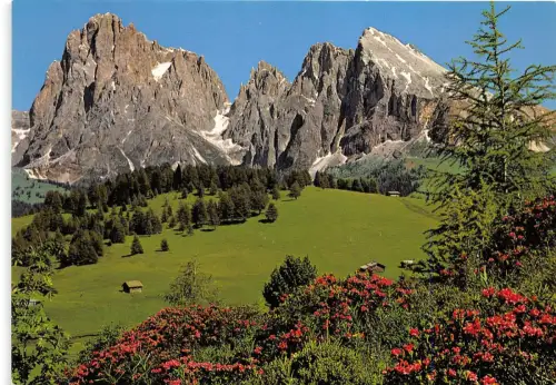 BG13517 Seiser Alm Langkofel Seiser Alpe Italien