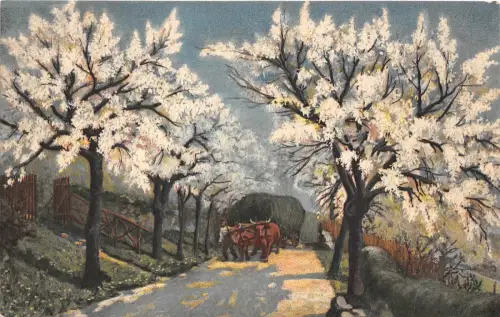 B4375 Nice Landscape Bulls at Work Front/Back Scan