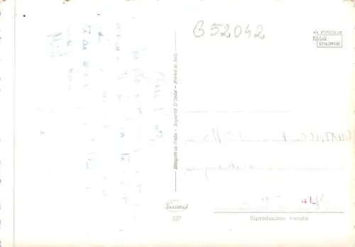 B52042 Fleurs Blumen Rosen