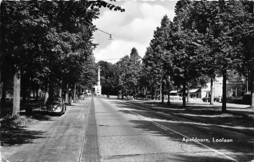 B55019 Apeldoorm Loolaan Niederlande
