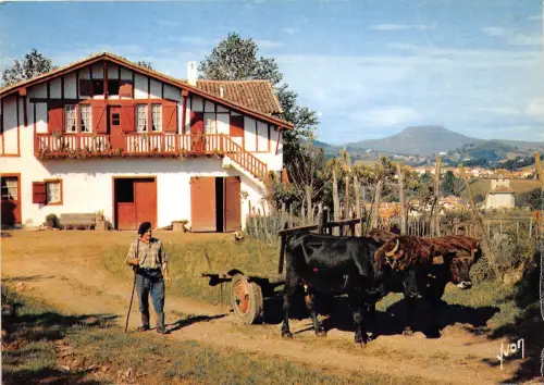 BR23757 Espelette vue generale Kuhvaches Frankreich