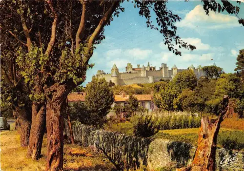 BR23557 Carcassonne vue generale de la Cite Frankreich