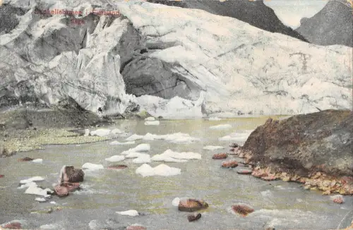 BR46388 Stiphellebresen i Fierland Sogu Norwegen