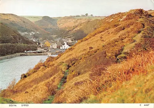 B104497 Solva gefärbte Wale