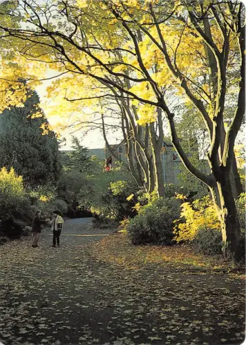 BT17739 Autumn Lane UK