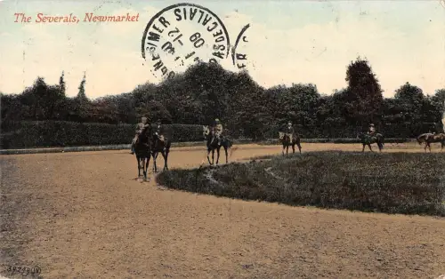 BR81646 The Severals Newmarket Reiten UK