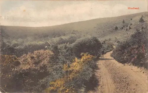 BR81693 Hinterkopf UK