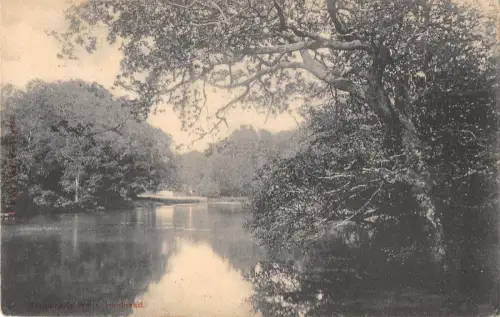 BR81630 Waggoner Wells Hinterkopf UK