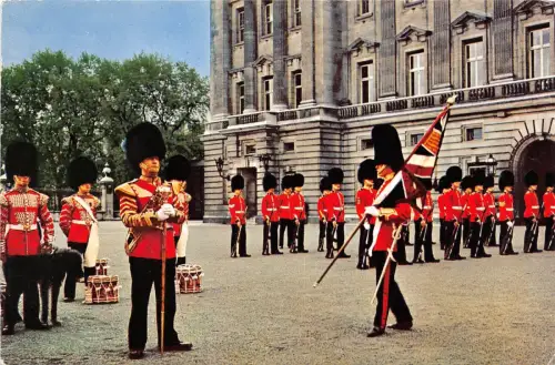 BT17809 Wachablösung Zeremonie im Buckingham Palace London UK