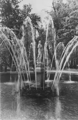 B40871 Petrodvoret Russland