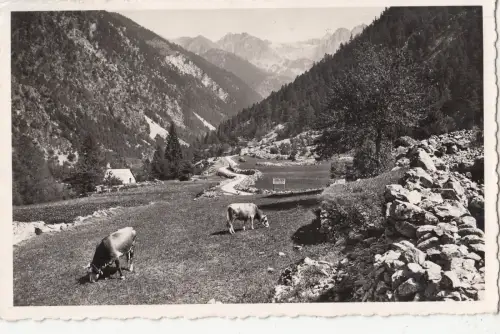 BF25878 st martin vesubie a m vallee et route du cow france front/back image