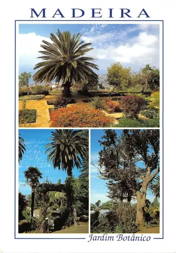 BR8905 Madeira Jardim Botanico Portugal