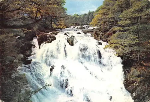 B96928 Betws y Coed Schwalbe Fallwale