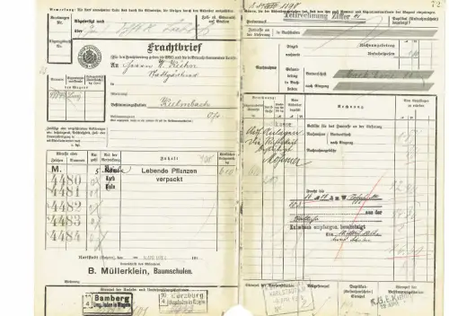 Frachtbrief lebende Pflanzen bay. Staatseisenbahn 1913 KARLSTADT Müllerklein