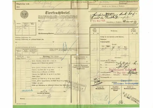 TIERFRACHTBRIEF 1924 Nürnberg / Kulmbach: Pferd, Maultier, Pony Frachtbrief #96