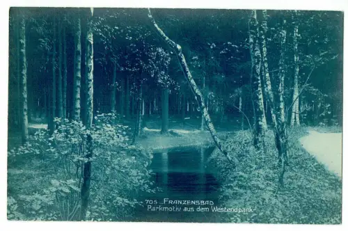 alte Ansichtskarte Franzensbad Westendpark - Böhmen, Sudetenland (ungelaufen)