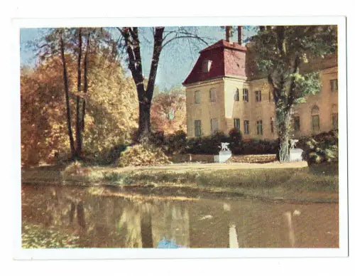 Pückler-Park Branitz / Cottbus - alte Ansichtskarte (ungelaufen)