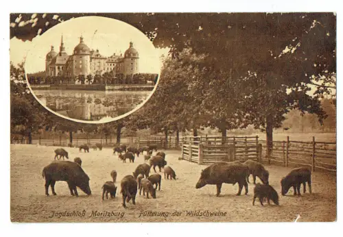 Jagdschloss Moritzburg - alte Ansichtskarte gel. Herrnskretschen SUDETENL. 1930)