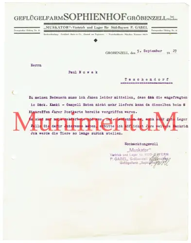 Geflügelfarm Sophienhof GRÖBENZELL bei MÜNCHEN Muskator Campell-Enten Brief 1929