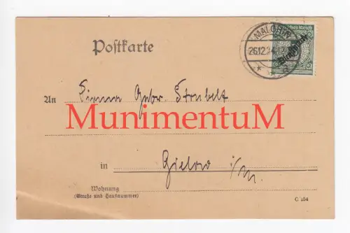 Mecklenburg-Schwerinsches Forstamt MALCHIN - Rechnung 1924 per Postkarte