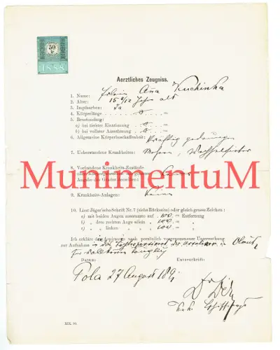 Ärztliches Zeugnis 1891 POLA PULA Istrien für Tauglichkeit Schuldienst Lehrerin