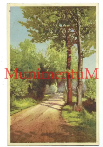 Postkarte Deutsches Reich 1943 Frohnhausen Essen-West Bäume Landschaft Kunst F74