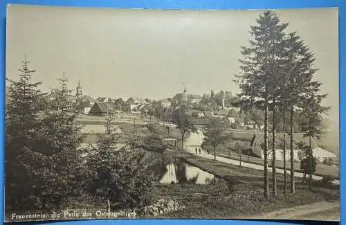 [Ansichtskarte] Frauenstein die Perle des Osterzgebirges